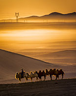 һ��һ·��Ŀר��