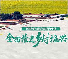 ���������Ŀר��