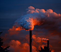 ����������Ŀר��