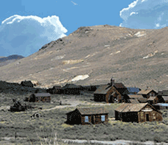 �����󿪷���Ŀר��