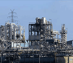 ���˶����Ϲ�ҵ����Ŀר��