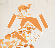 ˿·������Ŀר��